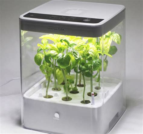 electric grow box|hydroponic grow box.